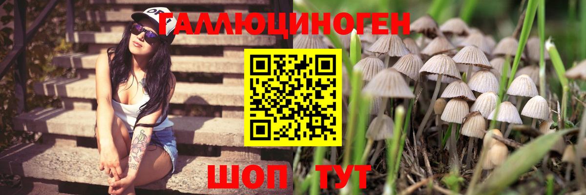 Псилоцибиновые грибы мухоморы  Вход с VPN  Рязань  Галлюциногенные грибы Psilocybine cubensis 